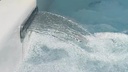vimeo - [Video]